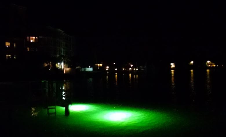 Fishing dock